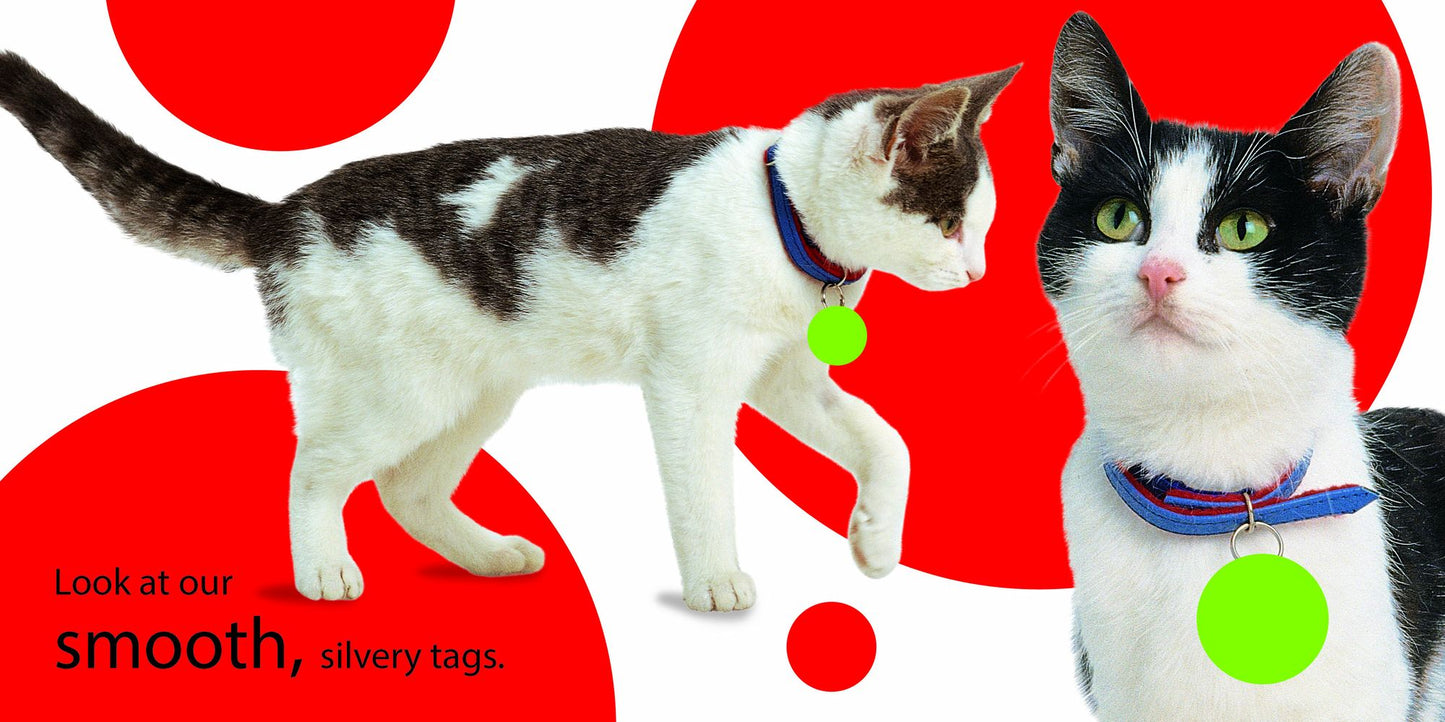 Touch and Feel: Kitten