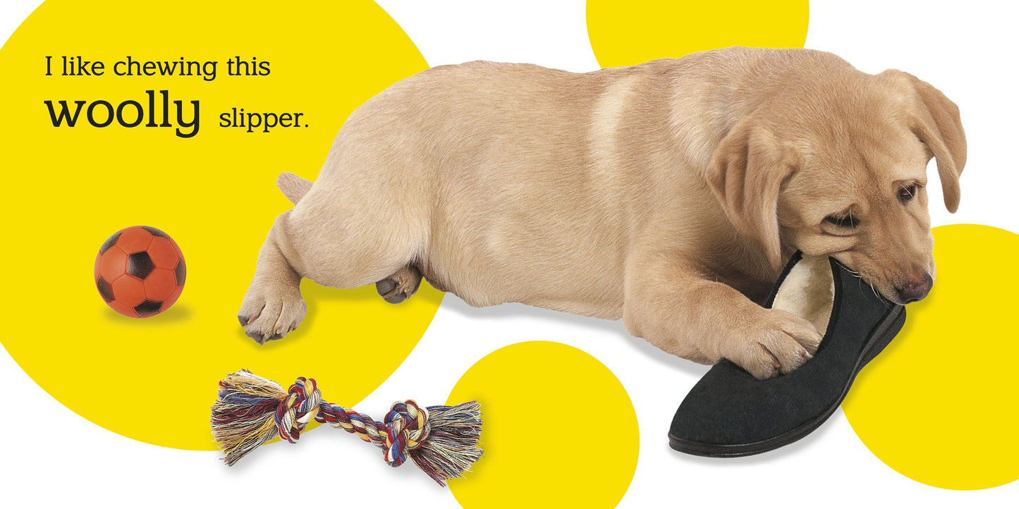 Touch and Feel: Puppy