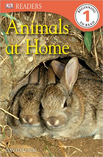 DK Readers L1: Animals at Home