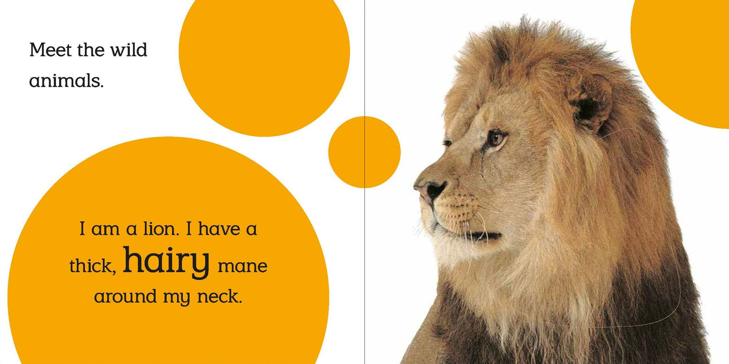 Touch and Feel: Wild Animals