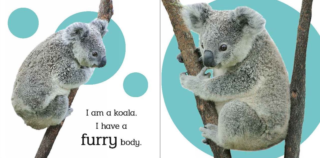 Touch and Feel: Wild Animals