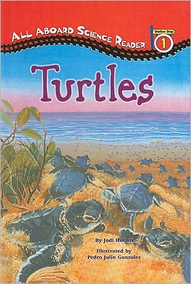 Turtles
