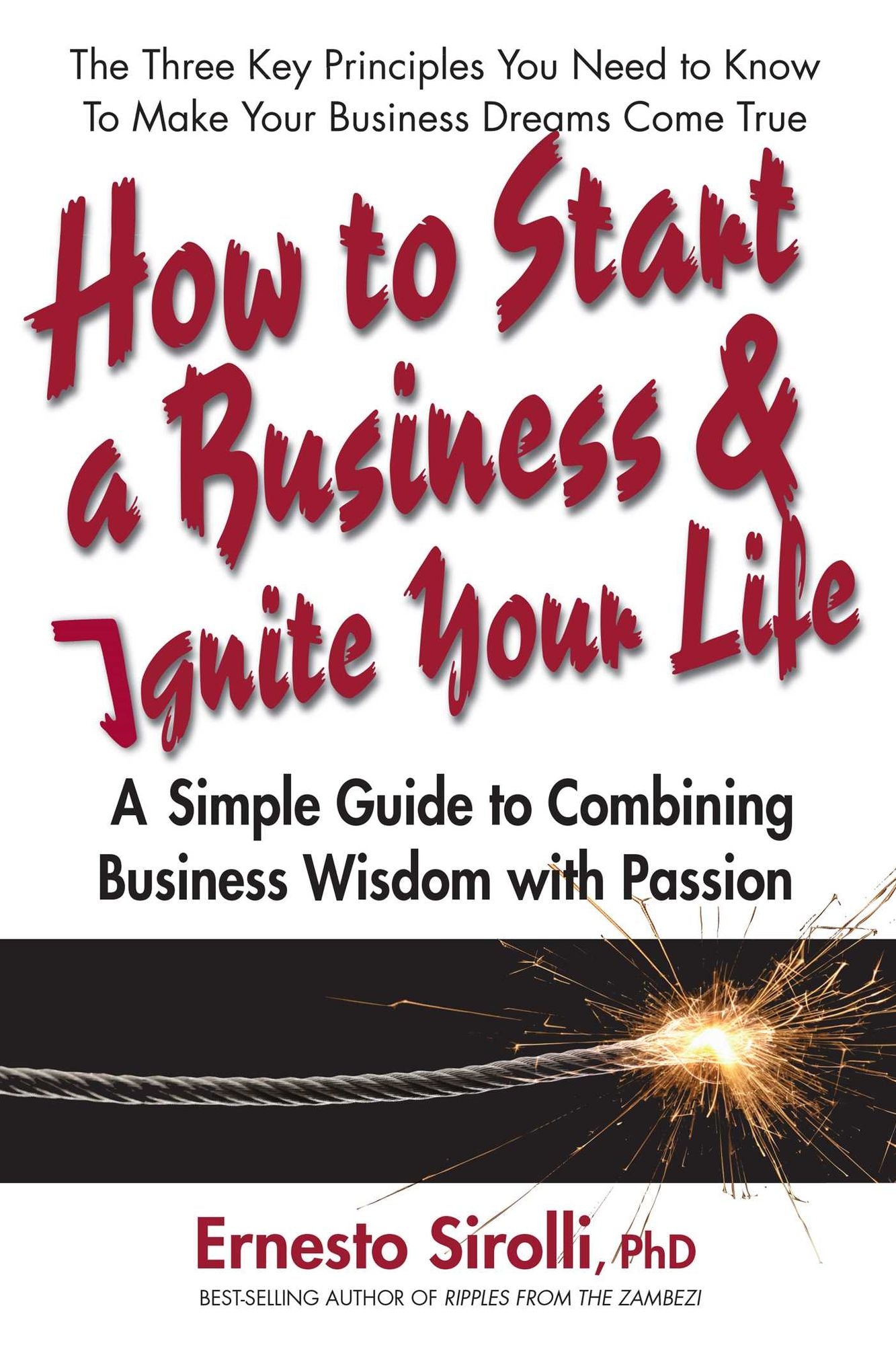 How to Start a Business & Ignite Your Life: A Simple Guide to Combining Business Wisdom with Passion