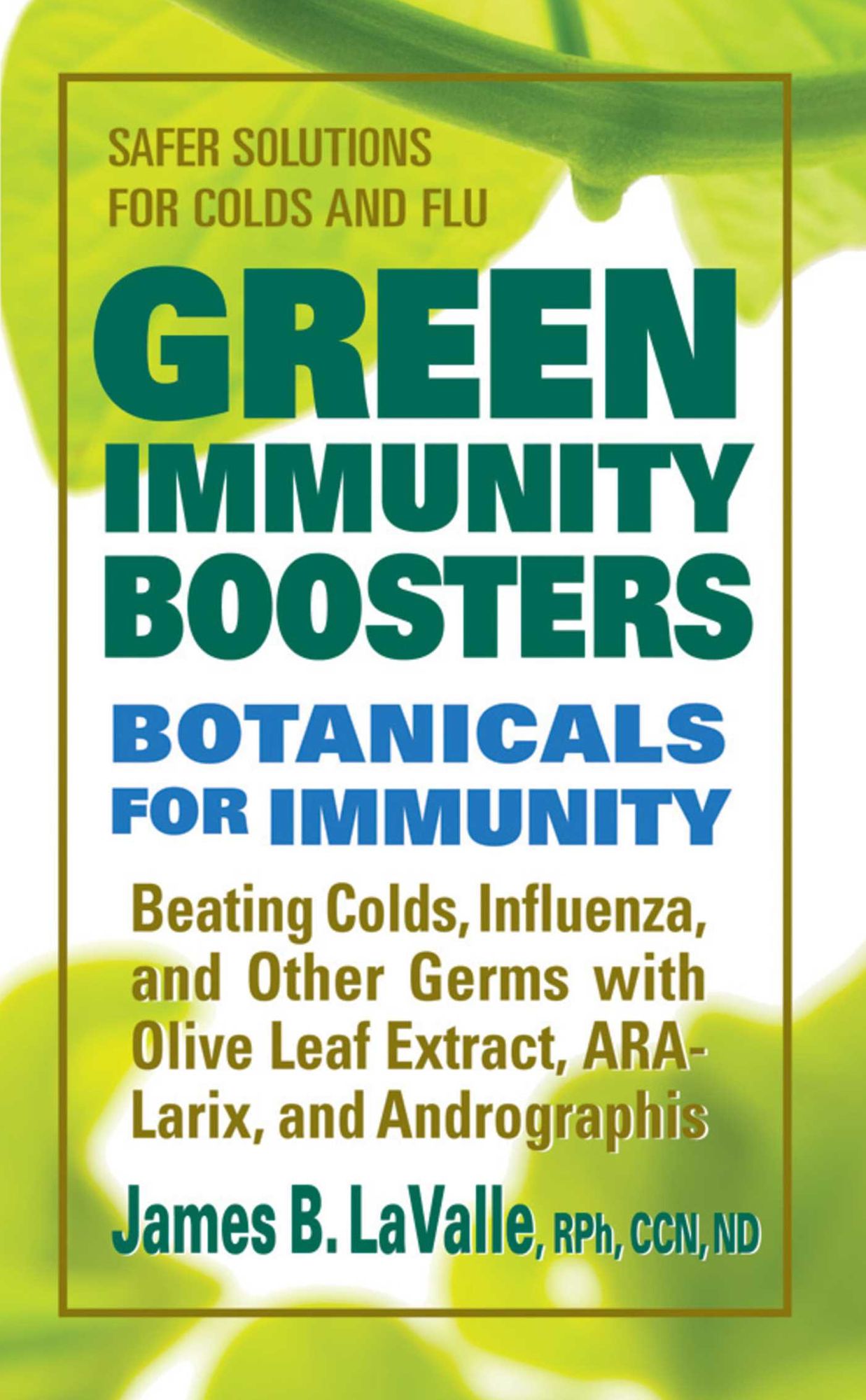 Green Immunity Boosters: Bontanicals for Immunity