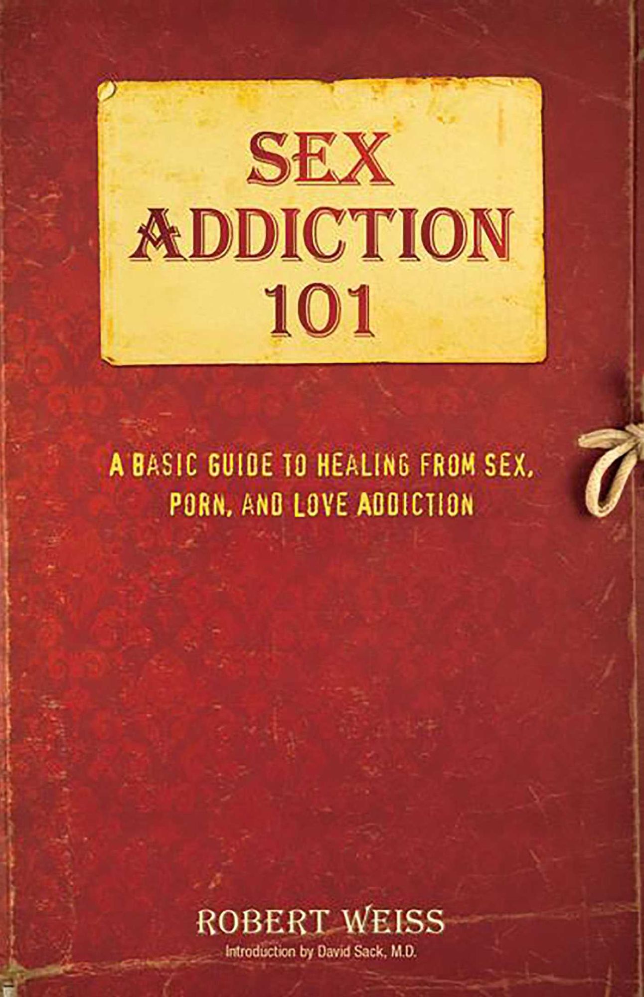 Sex Addiction 101: A Basic Guide to Healing from Sex, Porn, and Love Addiction