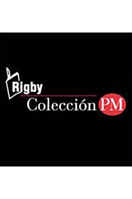 Rigby PM Coleccion: Individual Student Edition verde (green) En el invierno (Walking in the Winter)
