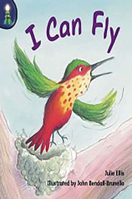 Rigby Lighthouse: Individual Student Edition (Levels B-D) I Can Fly