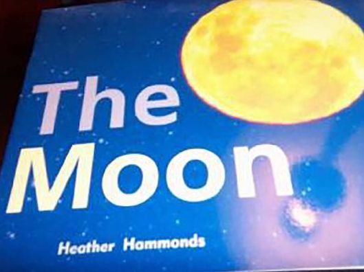 Rigby Focus Emergent: The Leveled Reader Moon