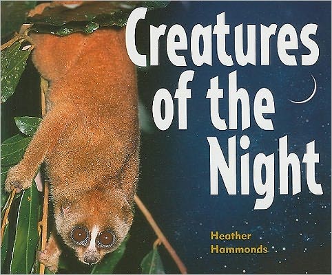 Rigby Focus Early Fluency: Leveled Reader Creatures Of the Night