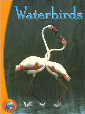 Rigby InfoQuest: Leveled Reader Waterbirds