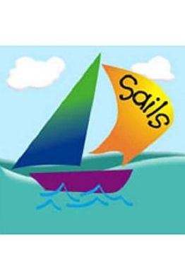 Rigby Sails Emergent: Leveled Reader Flyers and Swimmers, Satellite