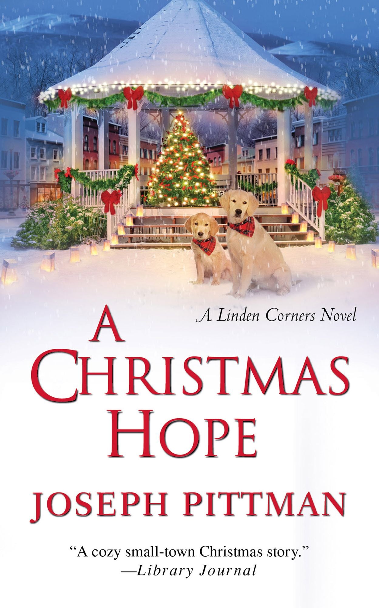 A Christmas Hope