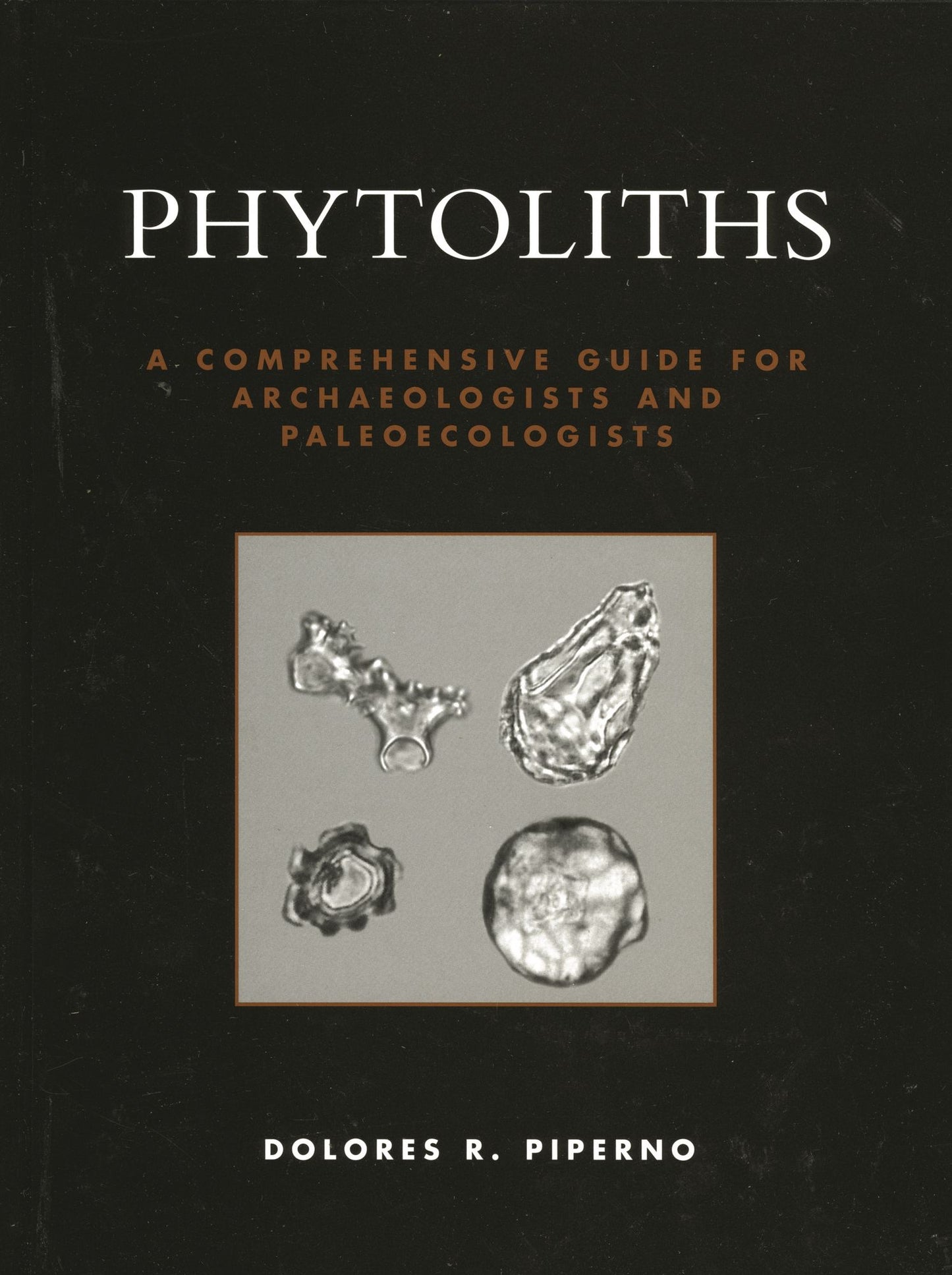 Phytolith: A Comprehensive Guide for Archaeologists and Paleoecologists