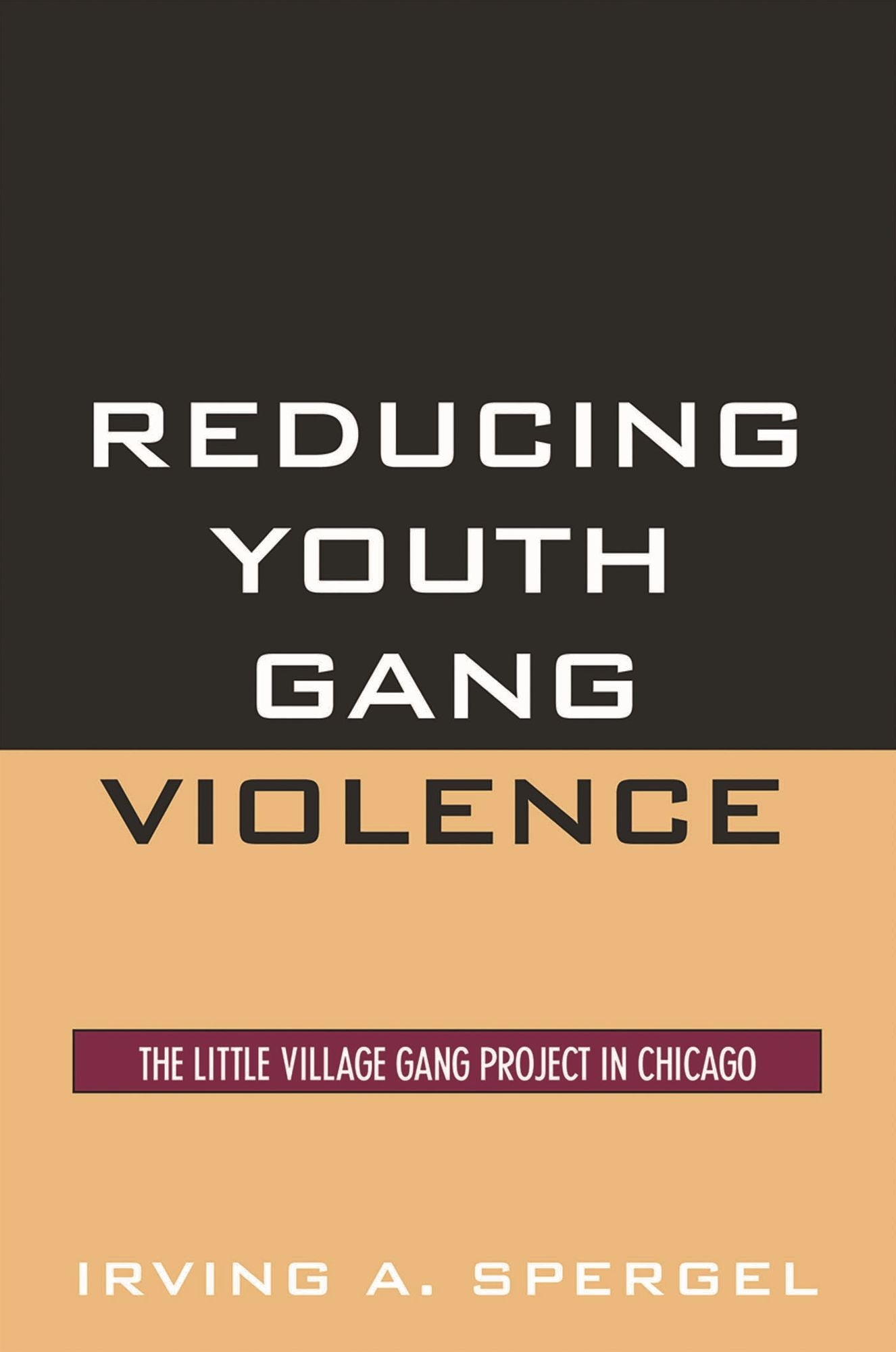 Reducing Youth Gang Violence: The Little Village Gang Project in Chicago