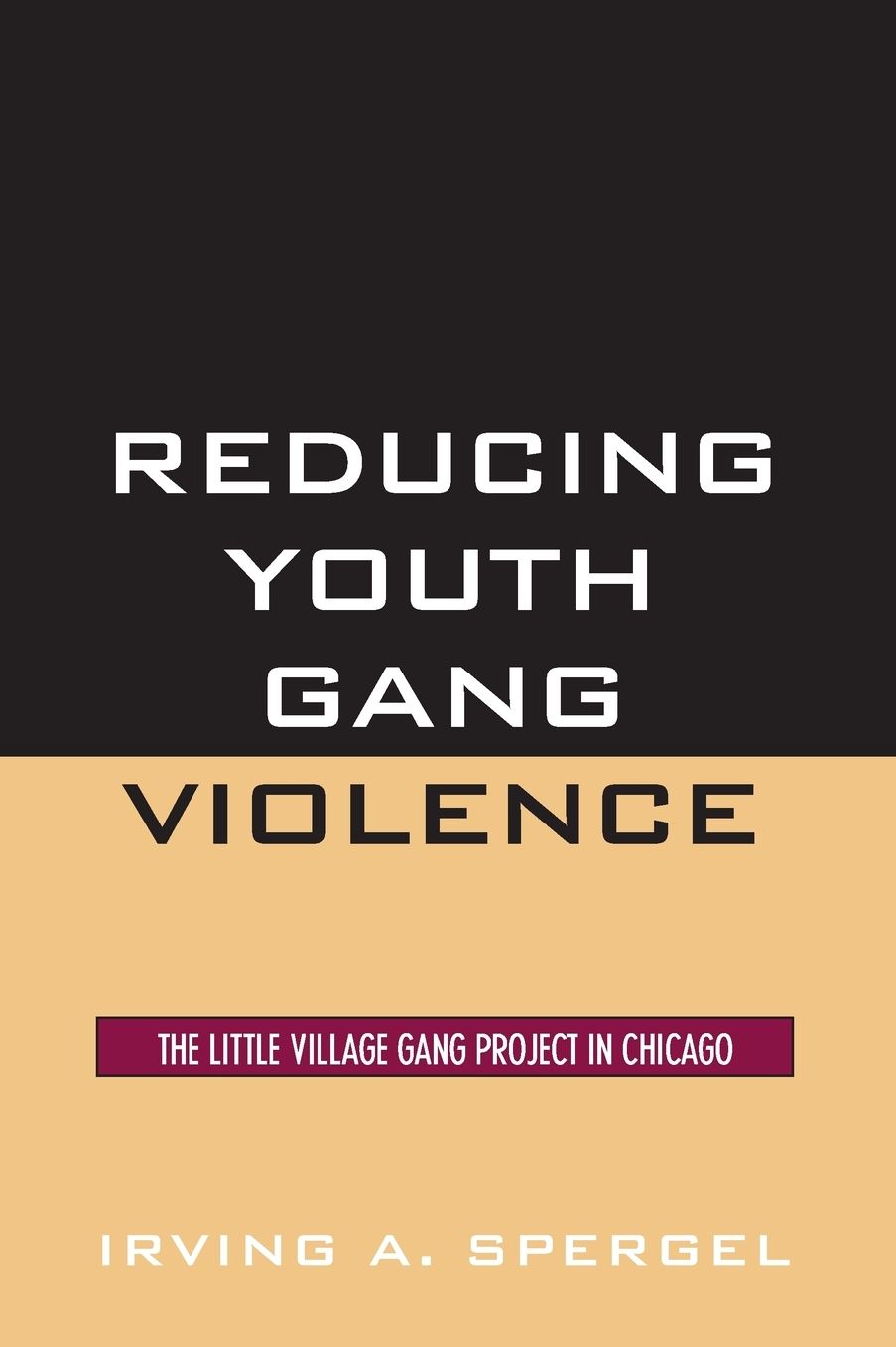 Reducing Youth Gang Violence: The Little Village Gang Project in Chicago