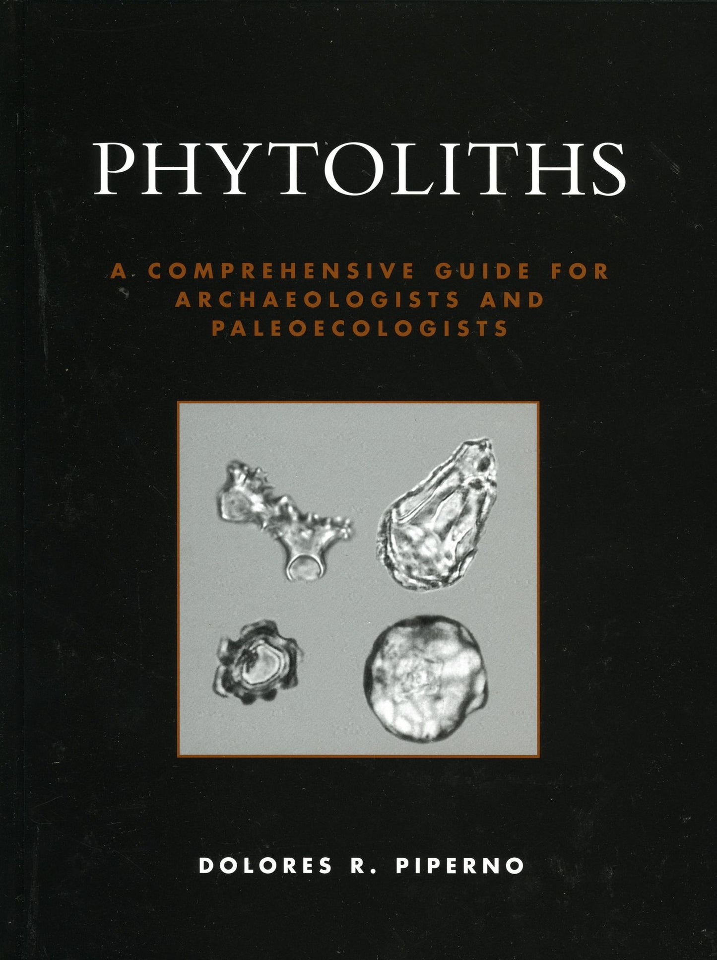 Phytoliths: A Comprehensive Guide for Archaeologists and Paleoecologists