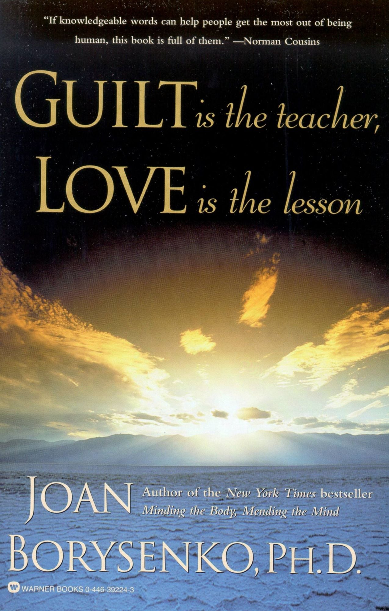 Guilt Is the Teacher, Love Is the Lesson: A Book to Heal You, Heart and Soul