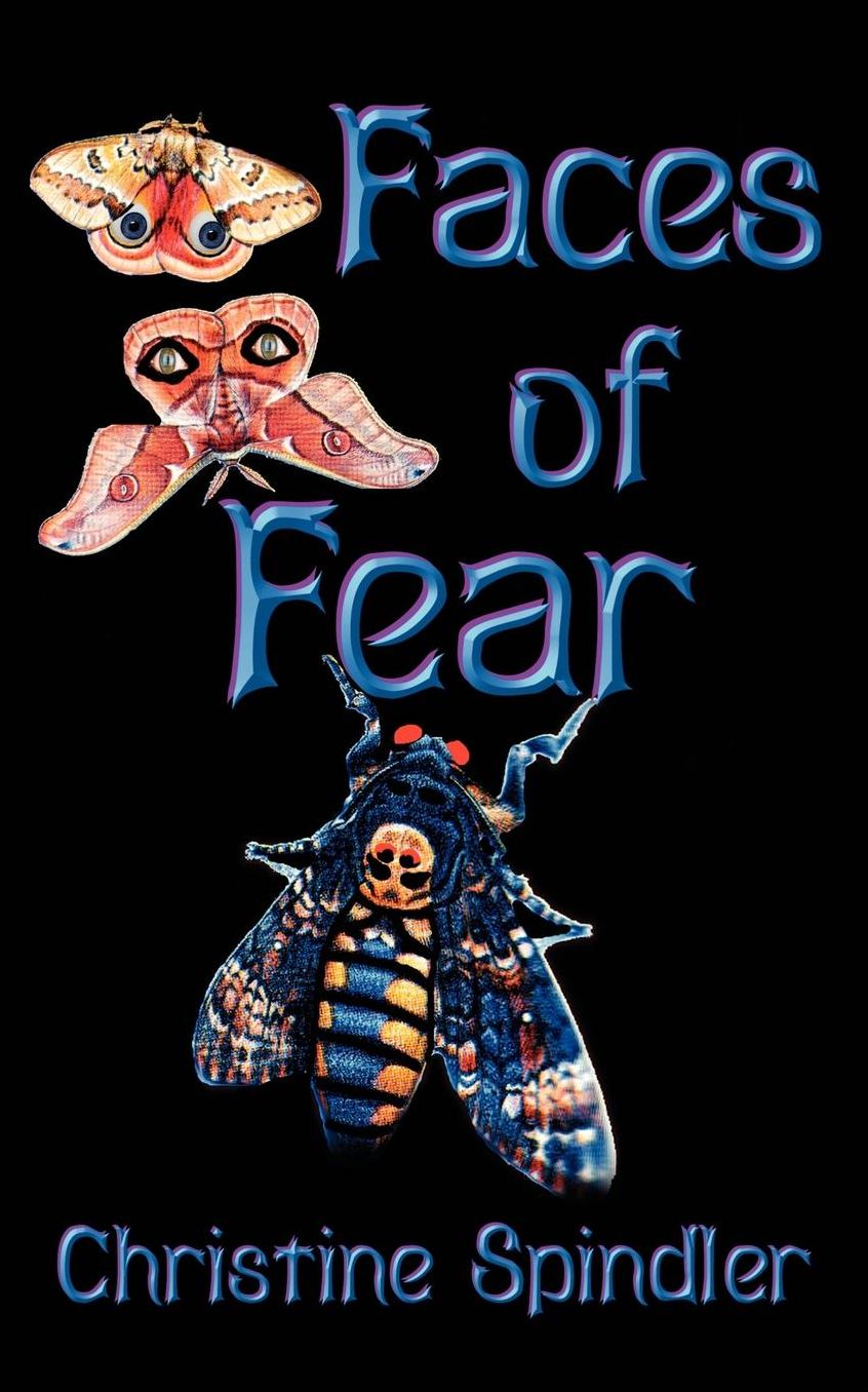Faces Of Fear, An Inspector Terry Mystery