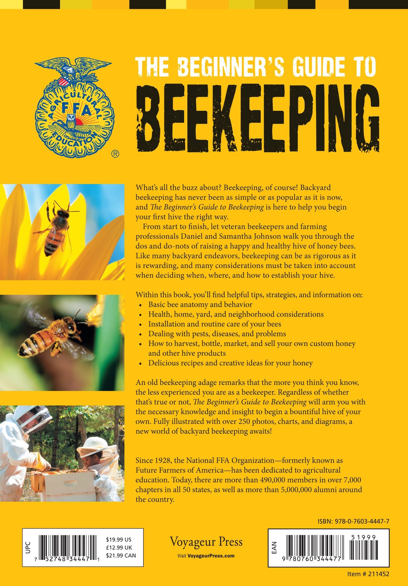 The Beginner's Guide to Beekeeping: Everything You Need to Know