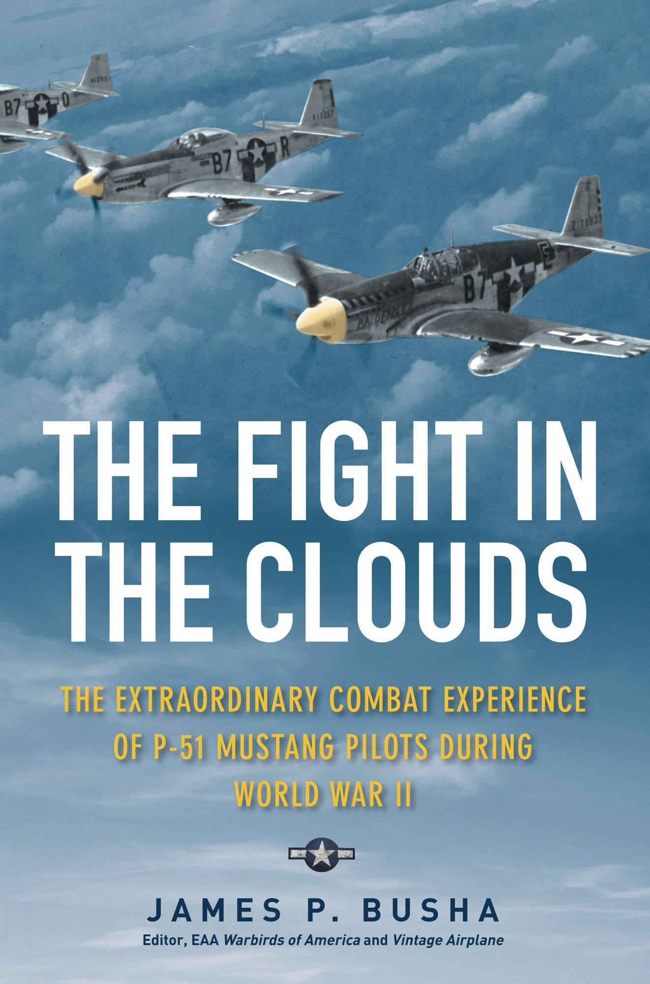 The Fight in the Clouds : The Extraordinary Combat Experience of P-51 Mustang Pilots During World War II