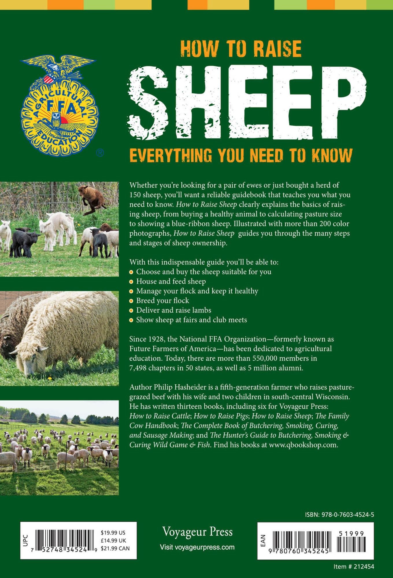 How to Raise Sheep: Everything You Need to Know