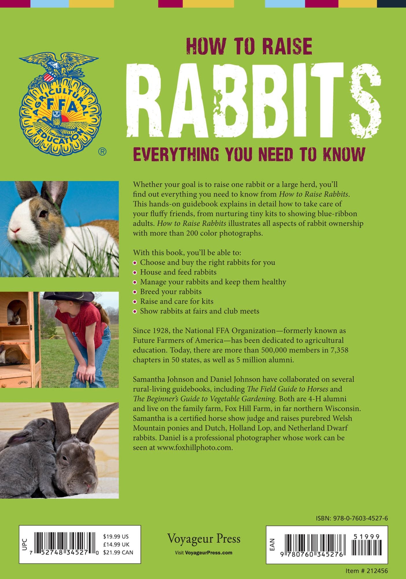 How to Raise Rabbits: Everything You Need to Know