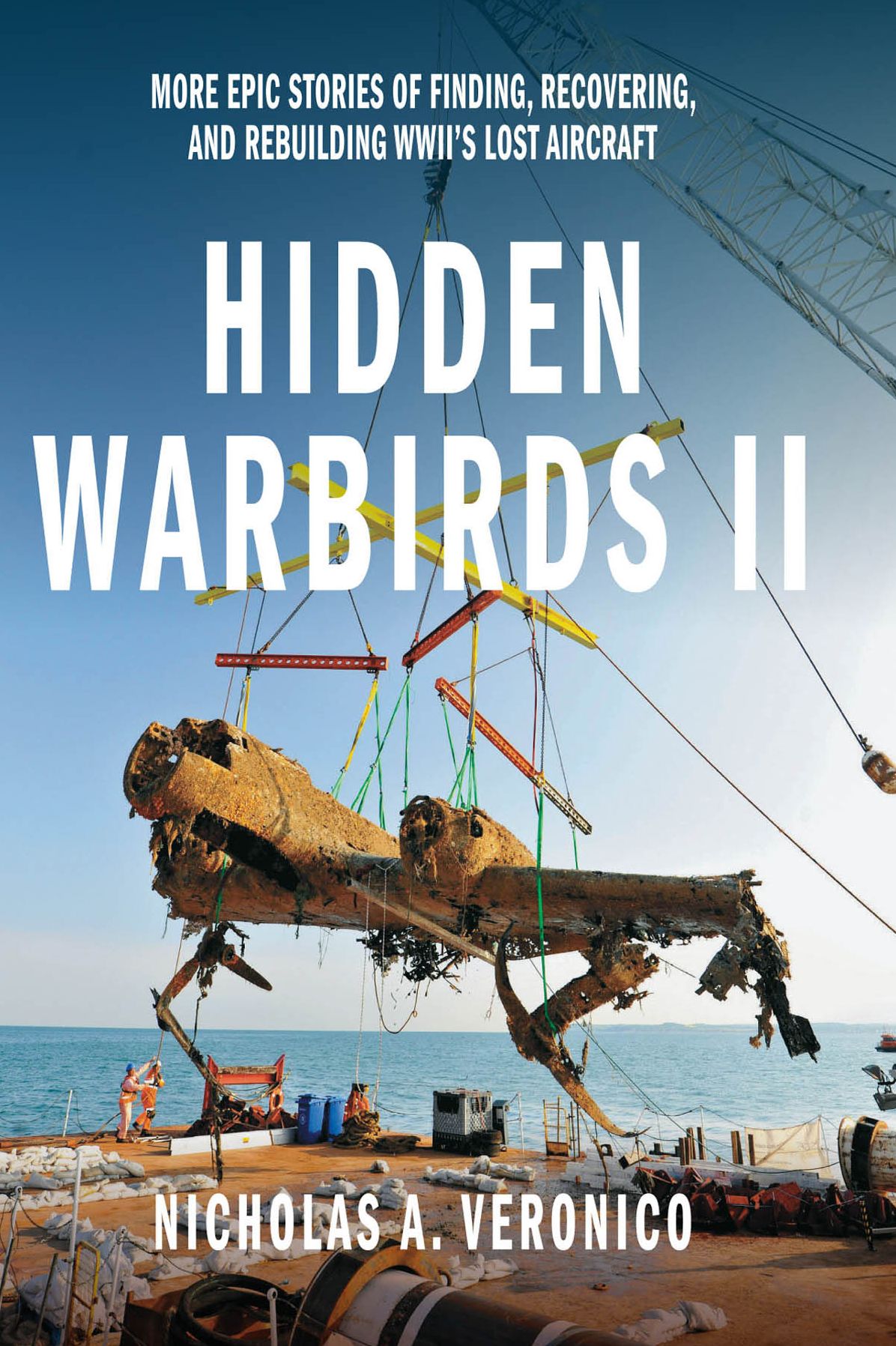 Hidden Warbirds II: More Epic Stories of Finding, Recovering, and Rebuilding WWII's Lost Aircraft