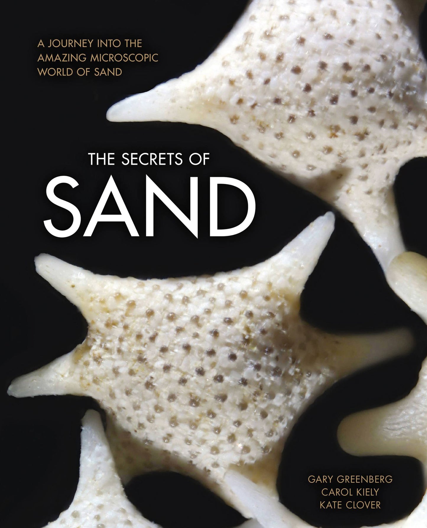 The Secrets of Sand: A Journey into the Amazing Microscopic World of Sand