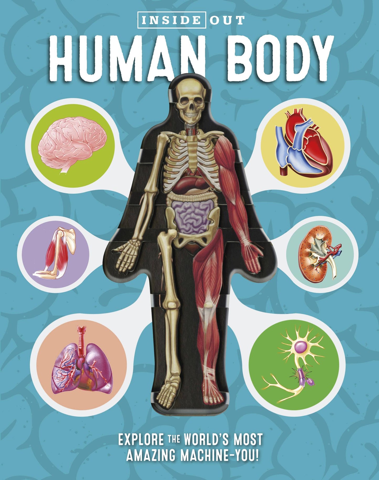 Inside Out Human Body : Explore the World's Most Amazing Machine-you!