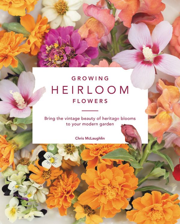 Growing Heirloom Flowers: Bring the Vintage Beauty of Heritage Blooms to Your Modern Garden