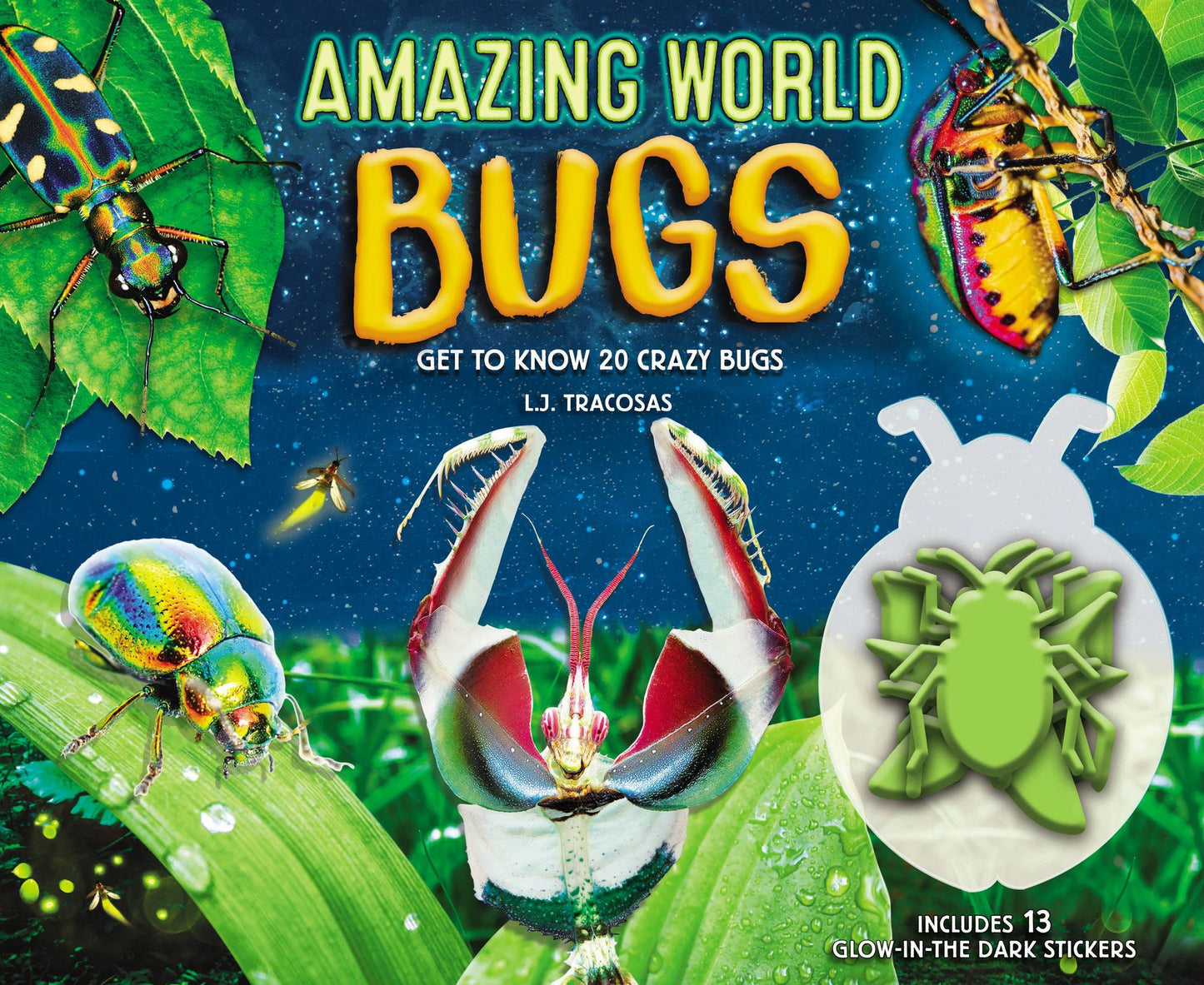 Amazing World: Bugs: Come Face-to-Face with 20 Crazy Bugs