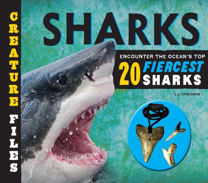 Creature Files: Sharks: Encounter the Ocean's Top 20 Fiercest Sharks