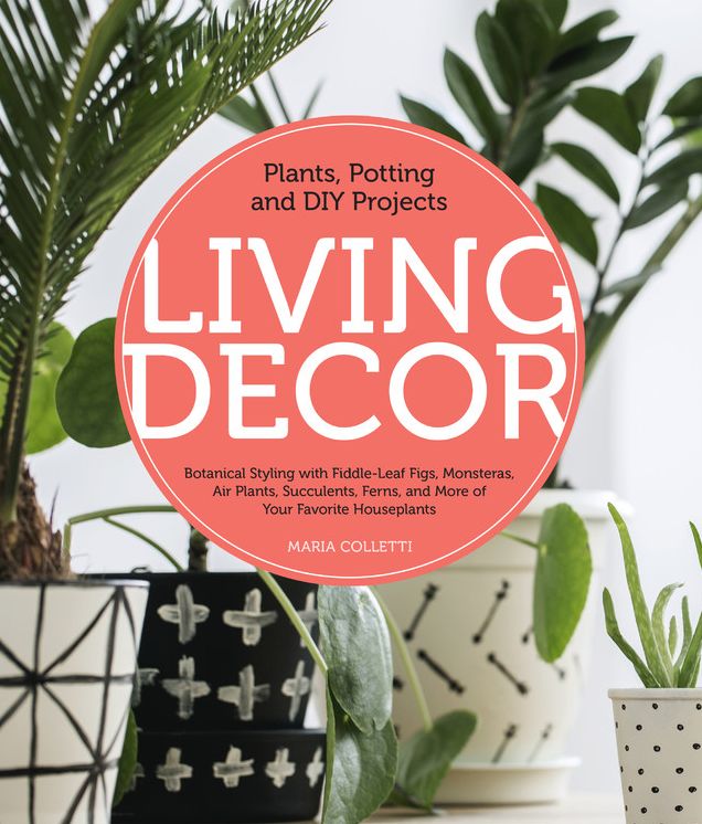 Living Decor: Design Tips and Home Projects Featuring Botanicals