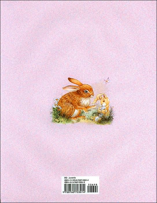 The Velveteen Rabbit (Sandy Creek Edition)