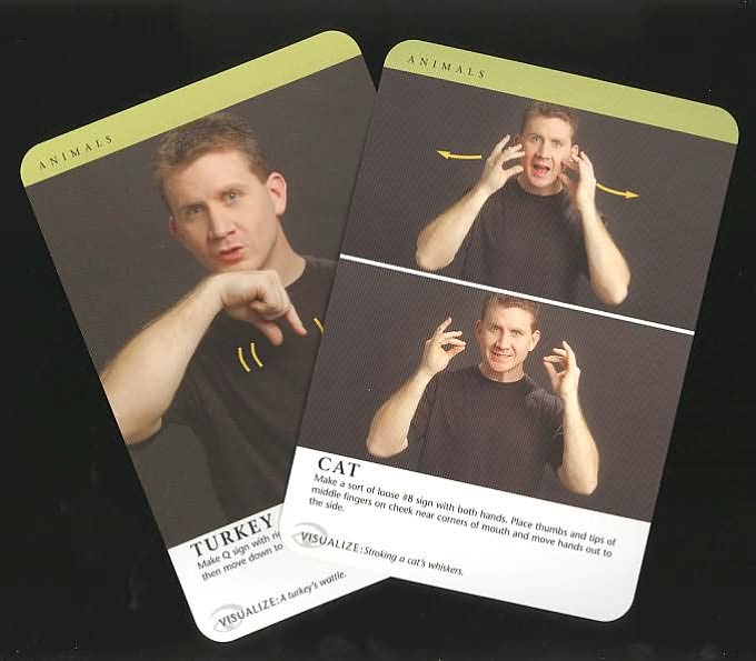 Learn American Sign Language