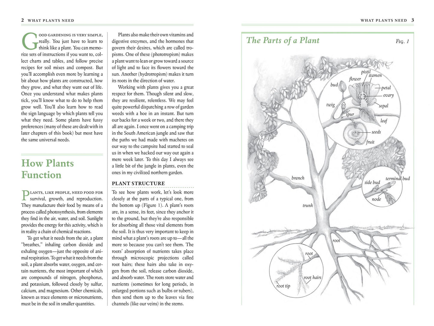 The Garden Primer: The Completely Revised Gardener's Bible - 100% Organic