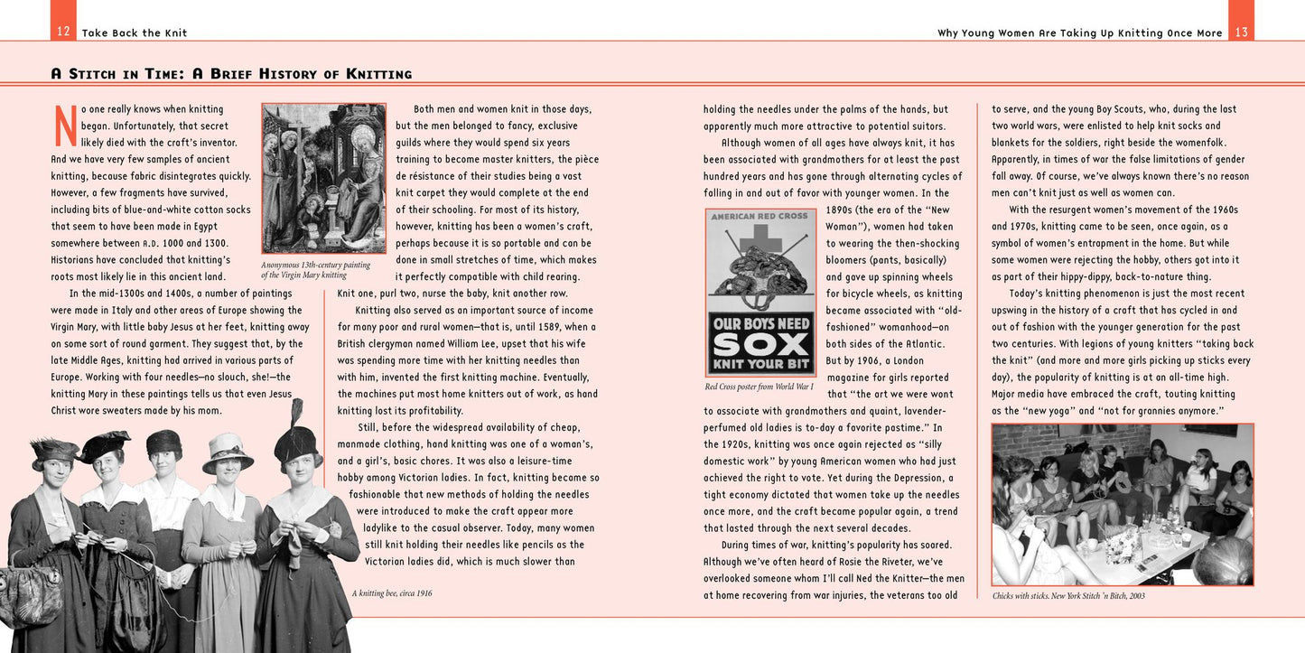 Stitch 'n Bitch: The Knitter's Handbook