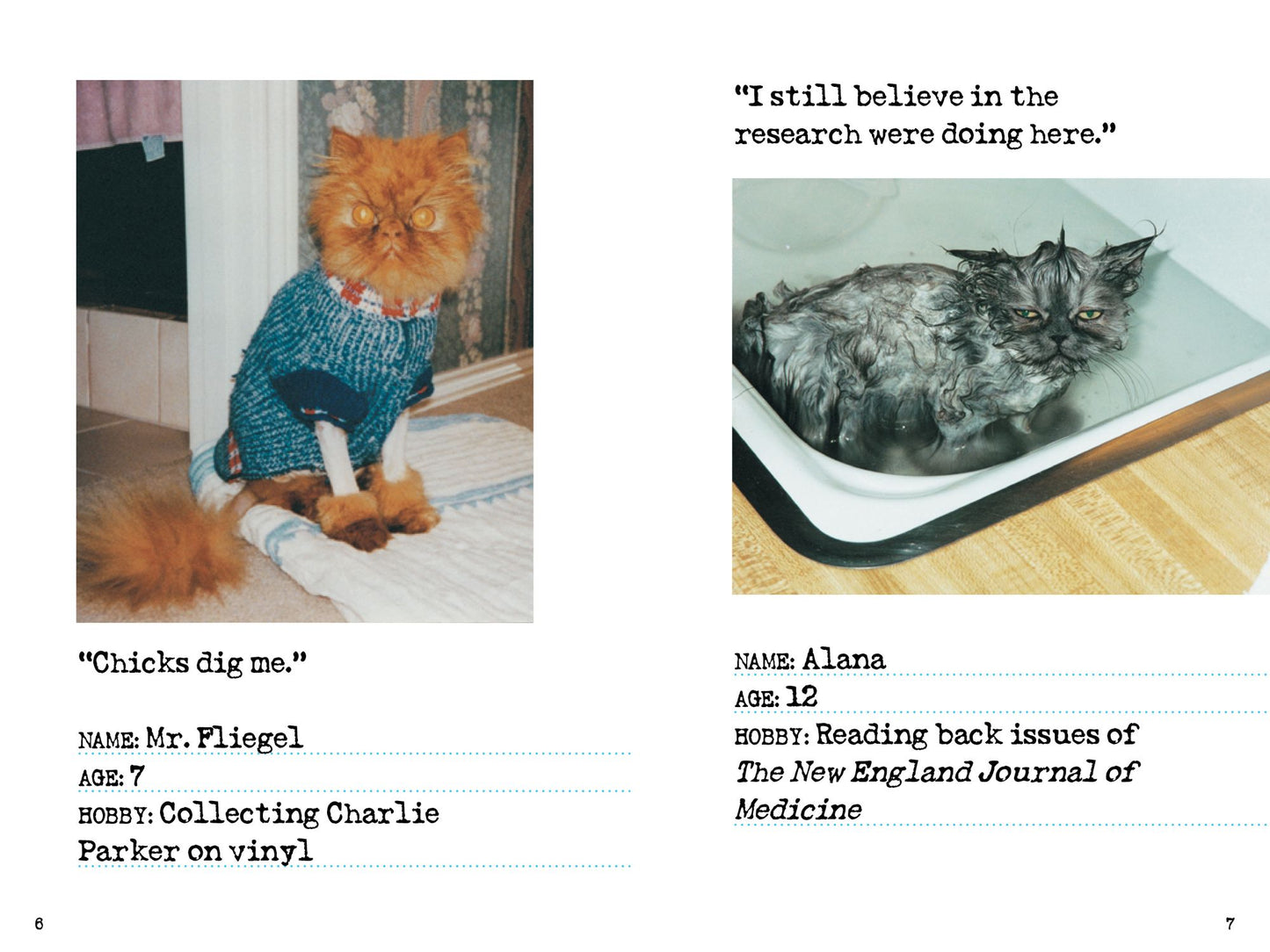 Bad Cat: 244 Not-So-Pretty Kitties and Cats Gone Bad