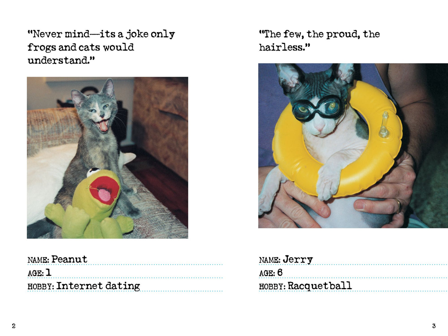 Bad Cat: 244 Not-So-Pretty Kitties and Cats Gone Bad