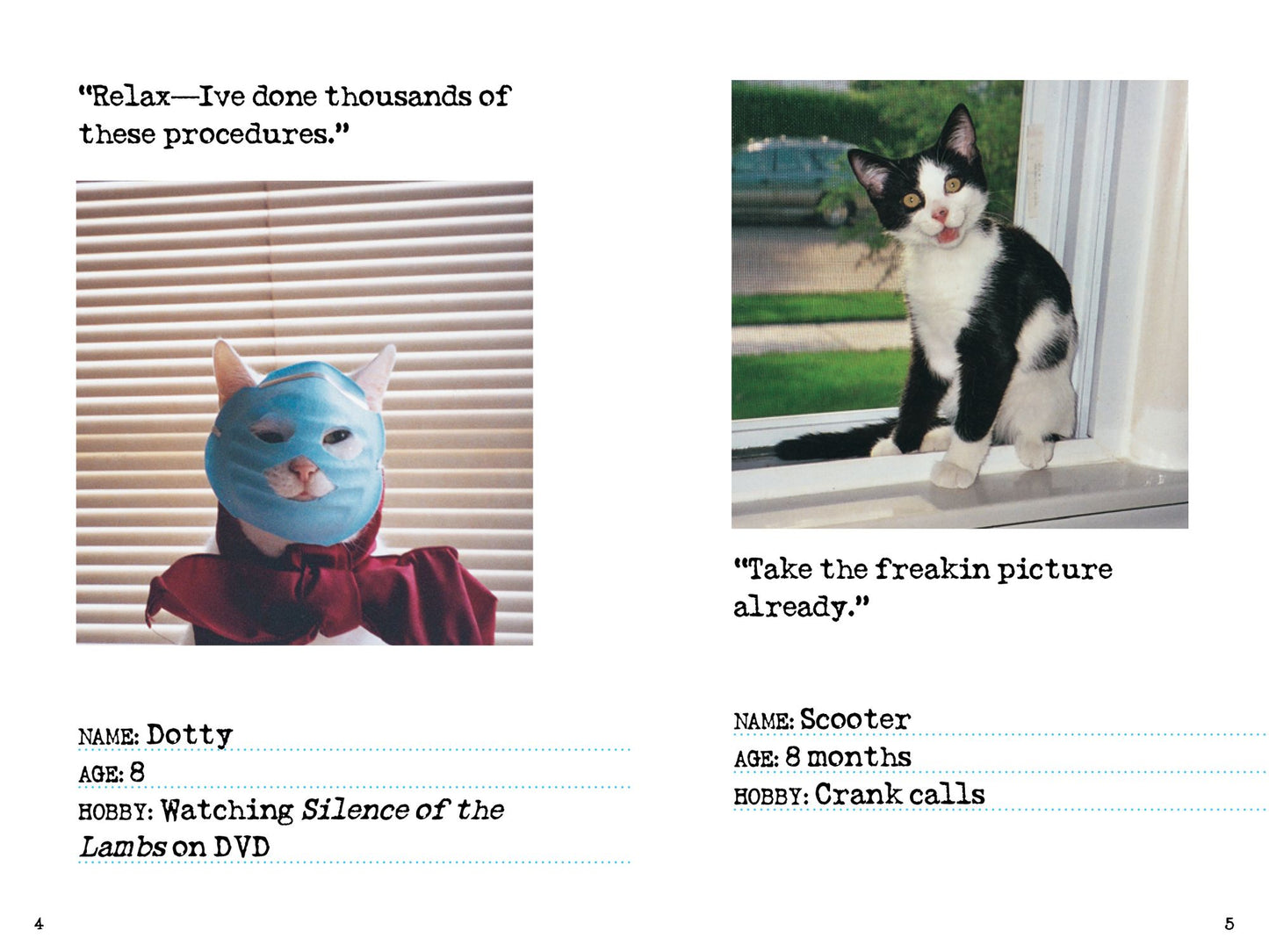 Bad Cat: 244 Not-So-Pretty Kitties and Cats Gone Bad