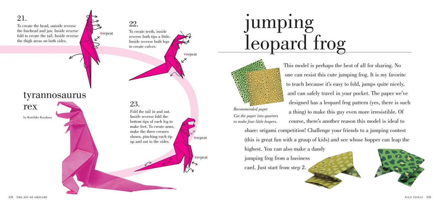 The Joy of Origami