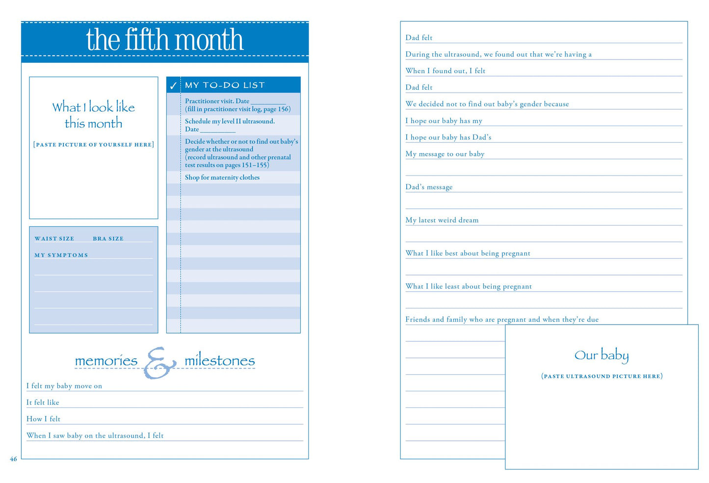 What to Expect Pregnancy Journal and Organizer