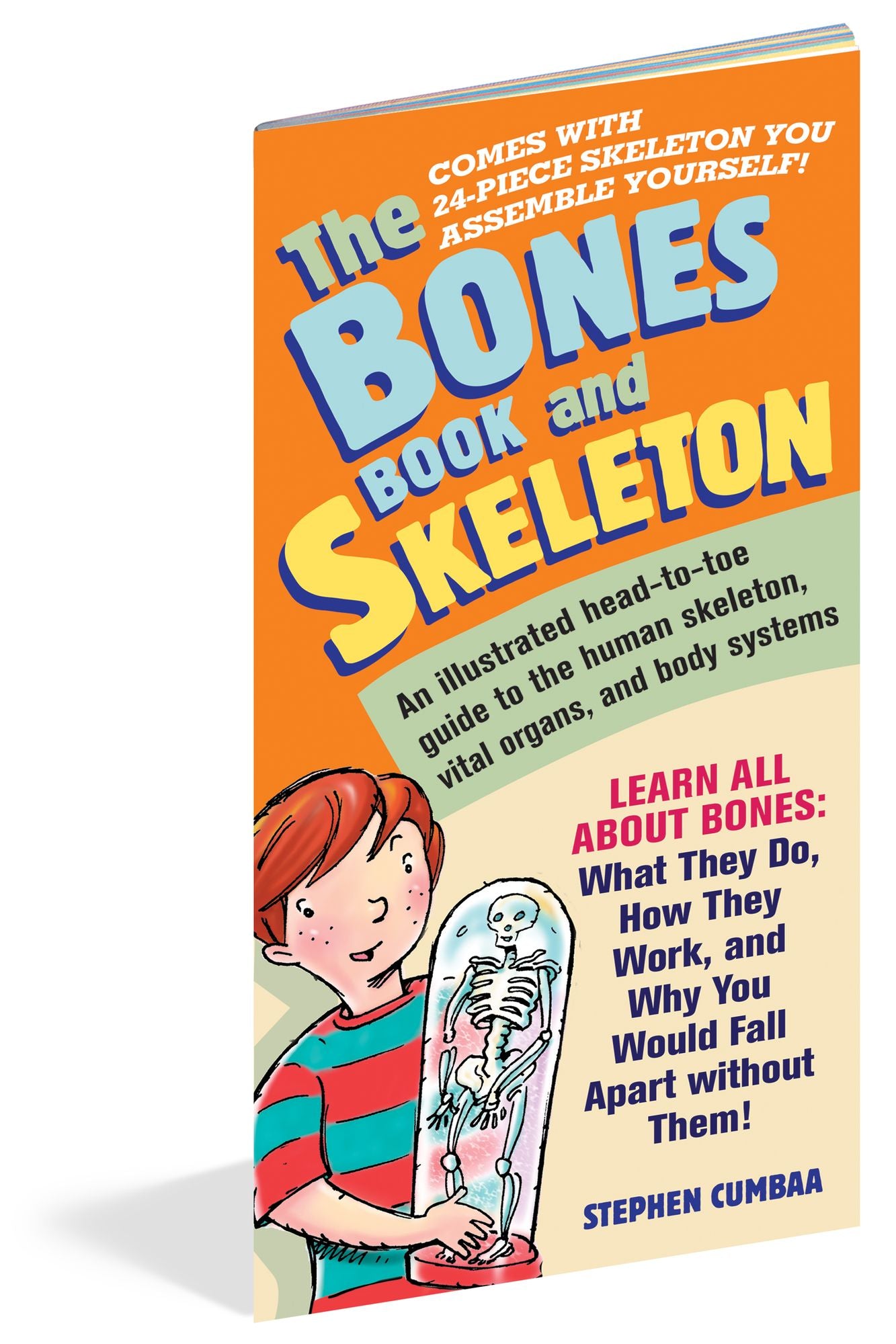 Bones Book And Skeleton