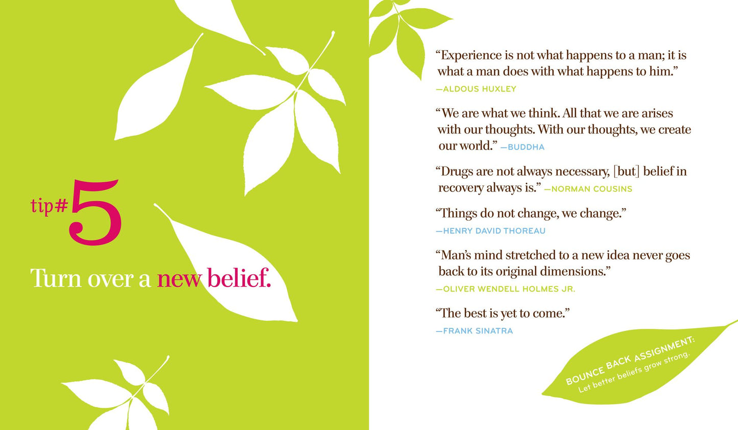 The Bounce Back Book: How to Thrive in the Face of Adversity, Setbacks, and Losses