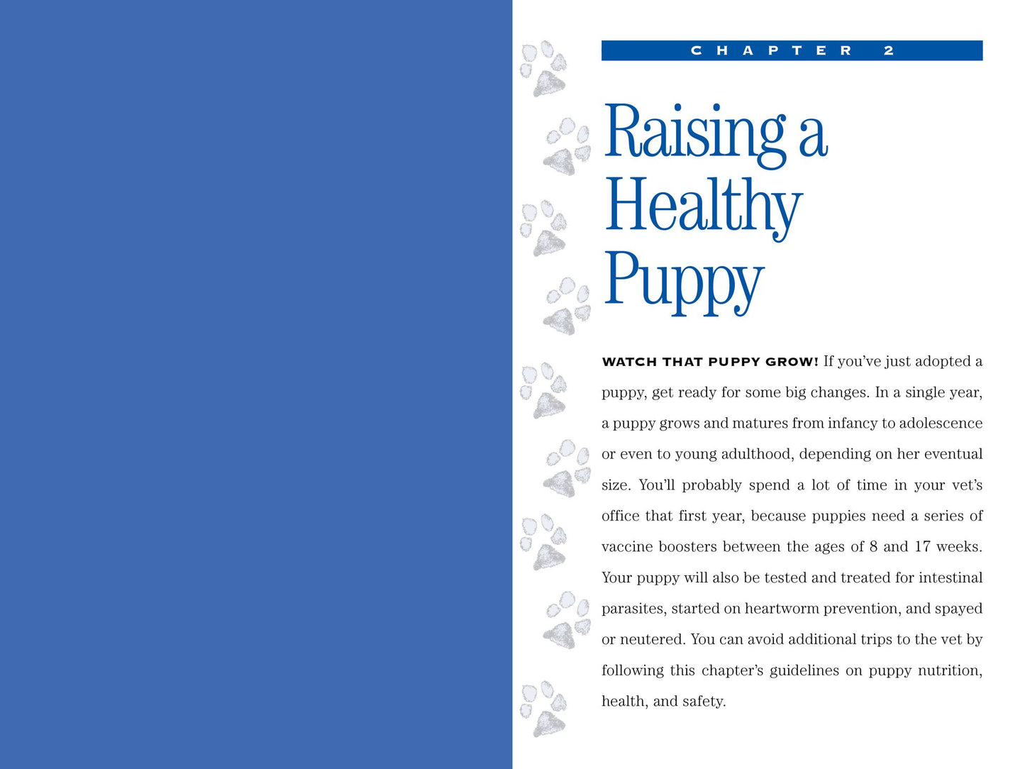 The Complete Healthy Dog Handbook: The Definitive Guide to Keeping Your Pet Happy, Healthy & Active Through Every Stage of Life