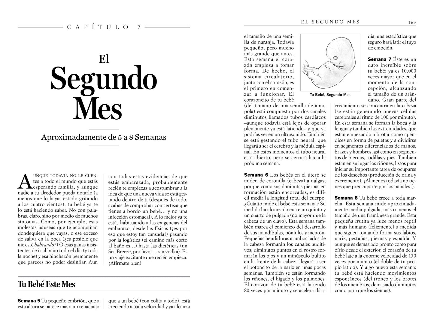 Qué puedes esperar cuando estás esperando (What to Expect When You're Expecting)