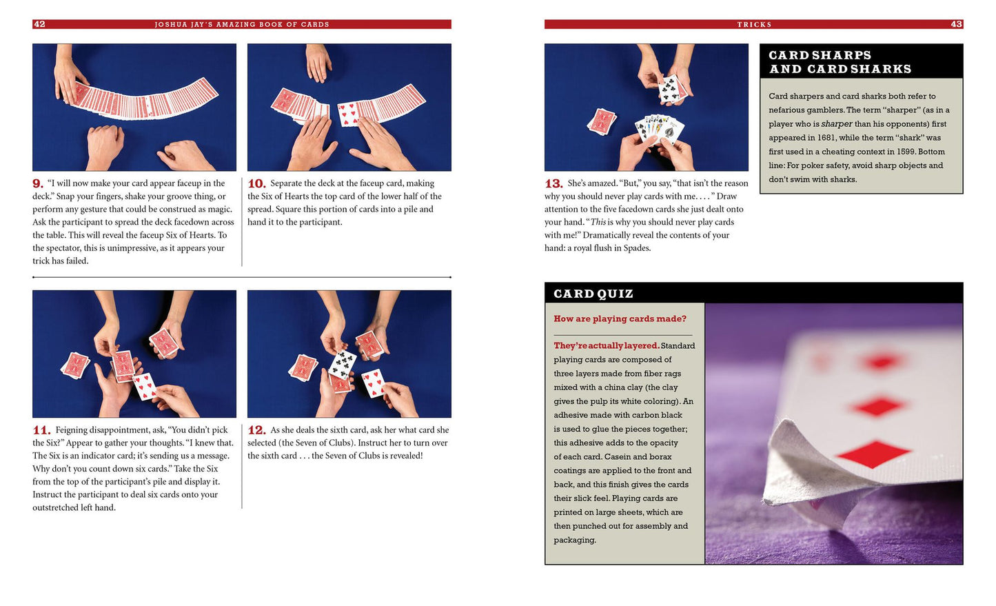 Joshua Jay's Amazing Book of Cards: Tricks, Shuffles, Stunts & Hustles Plus Bets You Can't Lose