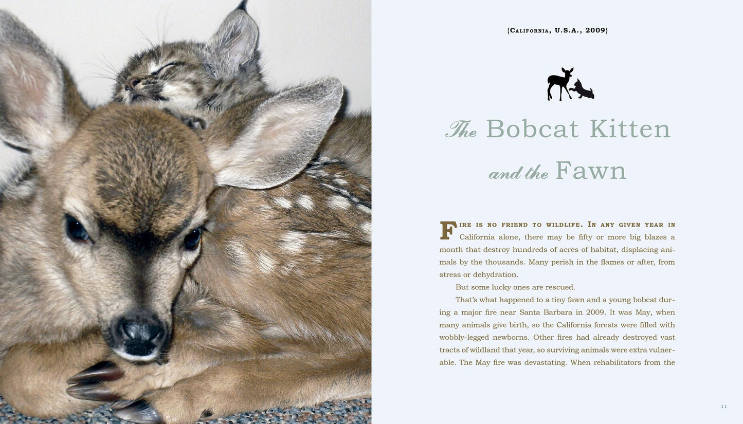 Unlikely Friendships: 50 Remarkable Stories from the Animal Kingdom