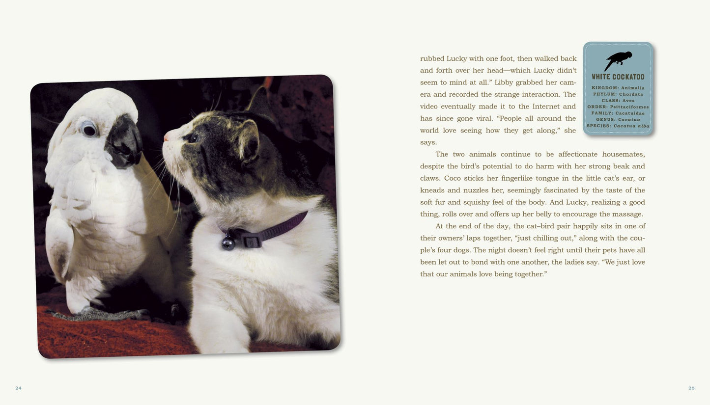 Unlikely Friendships: 50 Remarkable Stories from the Animal Kingdom