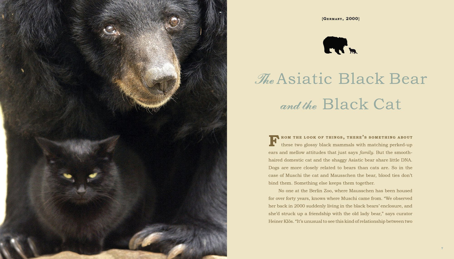 Unlikely Friendships: 50 Remarkable Stories from the Animal Kingdom